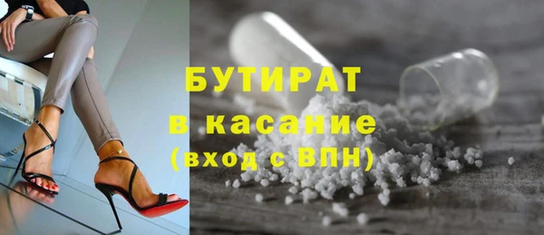 гашик Алексин