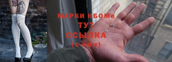 гашик Алексин