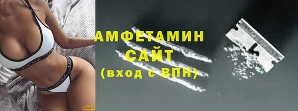 гашик Алексин