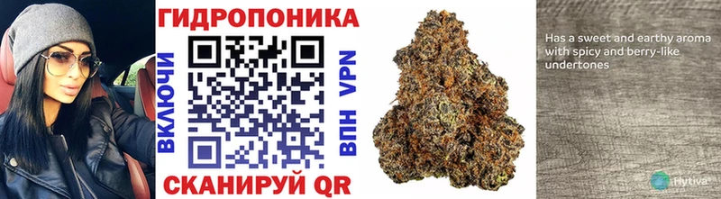Канабис Ganja  hydra ССЫЛКА  Исилькуль 